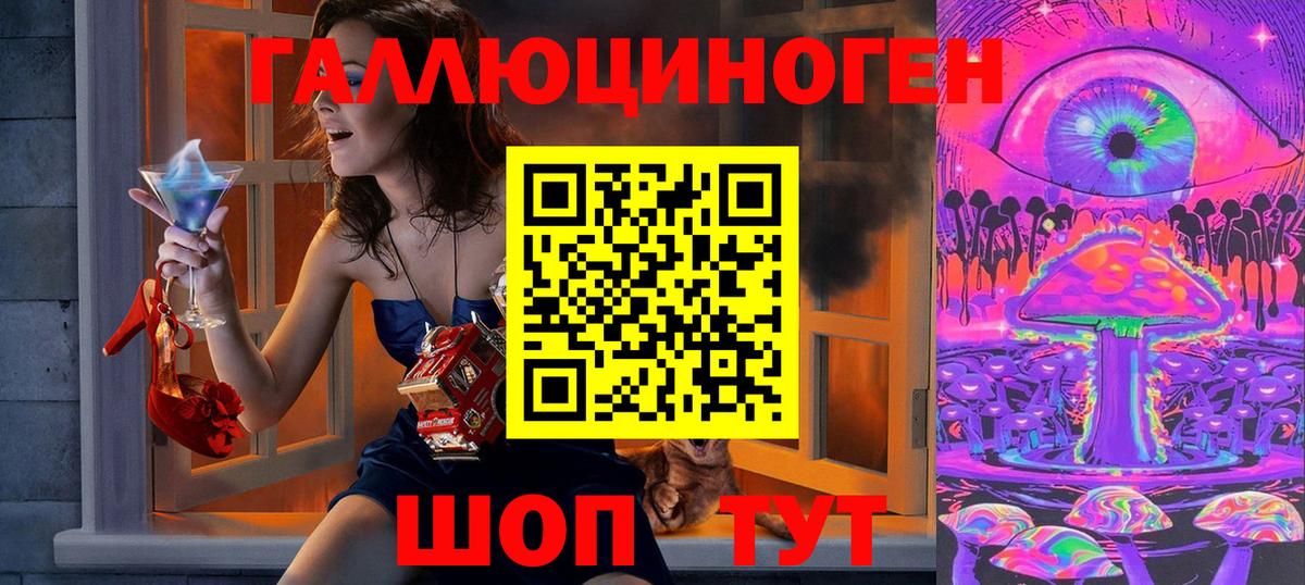 Псилоцибиновые грибы Cubensis Майкоп